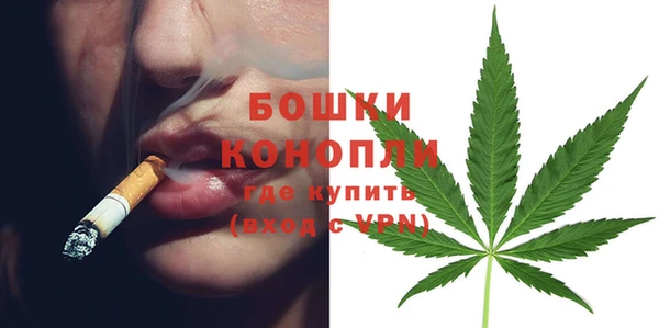 амф Белокуриха