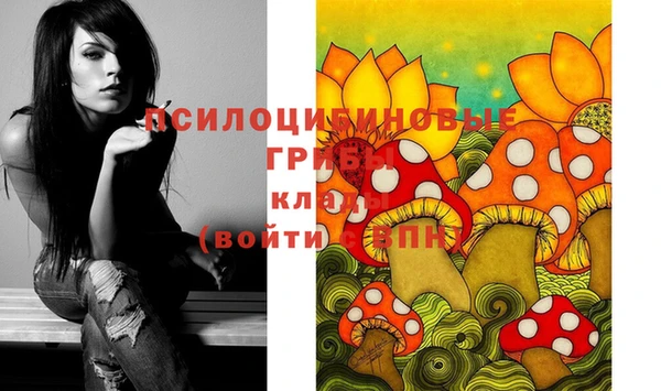 ГАЛЛЮЦИНОГЕННЫЕ ГРИБЫ Белоозёрский