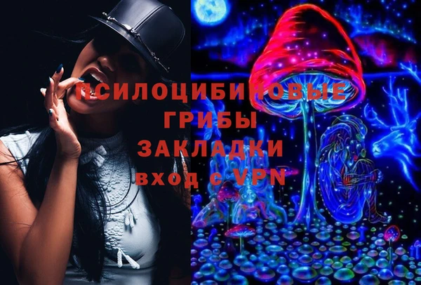 амф Белокуриха