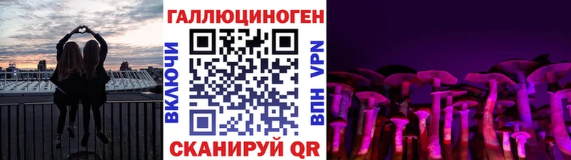 Галлюциногенные грибы мицелий  KRAKEN   Щучье 